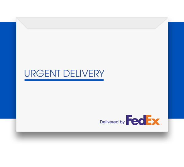 FedEx 2Day mail online